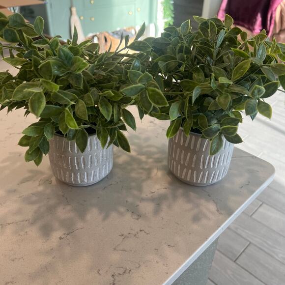 Other - (2) Faux plants